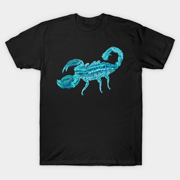 Emperor Scorpion T-Shirt by Tim Jeffs Art